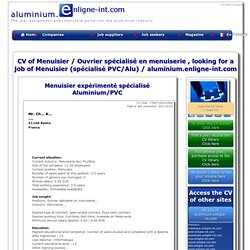 Curriculum Vitae Lettre De Motivation Pearltrees