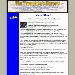 Pearltrees Care Sheets Pearltrees