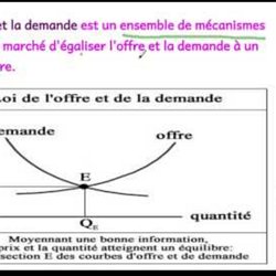 La Loi De L Offre Et De La Demande Le Cas Du Marche