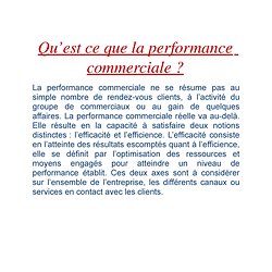 Les Indicateurs De La Performance Commerciale Pearltrees
