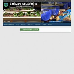 Get To Know Aquaponics Backyard Aquaponics Pearltrees