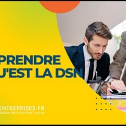 Comprendre Ce Qu Est La Dsn Pearltrees