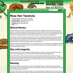 Pearltrees Care Sheets Pearltrees