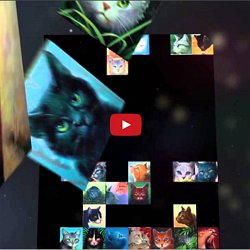 Warrior Cats Pearltrees