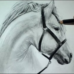 Dessin Et Peinture Video 3085 Comment Dessiner Le Cheval Par