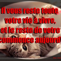Citation Desespoir Pearltrees