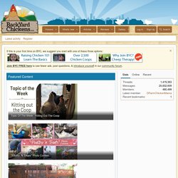 Raising Backyard Chickens Build A Chicken Coop Pictures Of