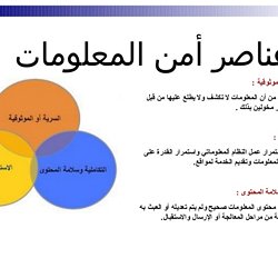 Infographic أمن المعلومات Pearltrees