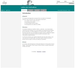 Lettre De Motivation Informatique Logiciels Web Wordpress