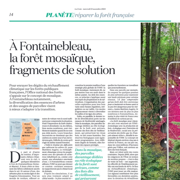 France Foret mosaique Fontainebleau ONF 13 novembre 2024