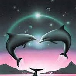 Op Du Swag Mignon Et Styler 49 49 Pearltrees