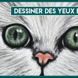 Dessin Et Peinture Vieo 2574 Comment Peindre Chat Et Chaton A L Aquarelle Tutoriel Le Blog De Lapalettedecouleurs Over Blog Com Dessin Et Peinture Vieo 2574 Comment Peindre Chat Et Chaton A L Aquarelle Tutoriel Le Blog De Lapalettedecouleurs Over Blog Com