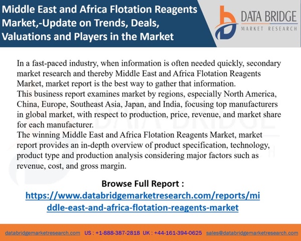 Middle East and Africa Flotation Reagents Market