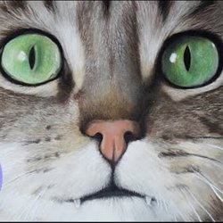 Dessin Et Peinture Video 2805 Le Chat Et Le Chaton En Plusieurs Etapes Et Plusieurs Styles Toutes Les Techniques Lapalettedecouleurs Dessin Et Peinture Video 2805 Le Chat Et Le Chaton En Plusieurs Etapes Et Plusieurs Styles Toutes Les Techniques Lapalettedecouleurs