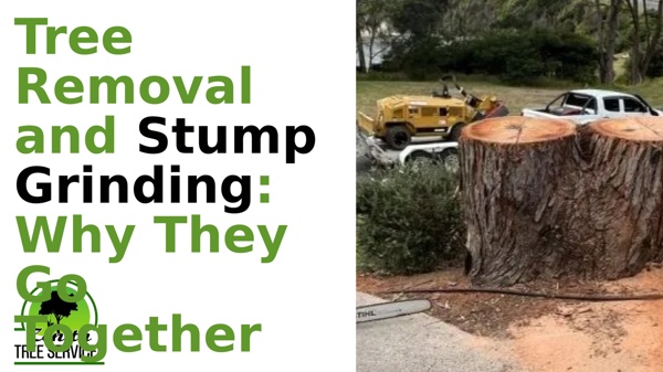 Tree Removal and Stump Grinding Why They Go Together .pptx | Pearltrees
