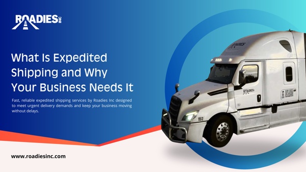 What Is Expedited Shipping and Why Your Business Needs It