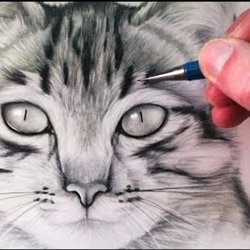 Dessin Et Peinture Video 2746 Comment Peindre Un Portrait De Chat En Temps Reel Aquarelle Le Blog De Lapalettedecouleurs Over Blog Com Dessin Et Peinture Video 2746 Comment Peindre Un Portrait De Chat En Temps Reel Aquarelle Le Blog De Lapalettedecouleurs Over Blog Com