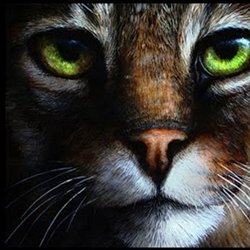 Peindre Les Chats En Video Pearltrees Peindre Les Chats En Video Pearltrees