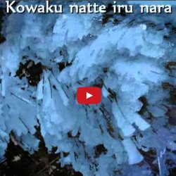 Characters Pearltrees