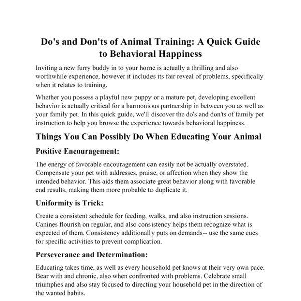 Essentials of Pet Care for Happiness